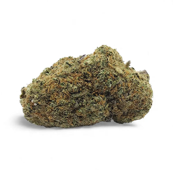 Fleur CBD Gelato Glue Indoor Premium Ma boutique