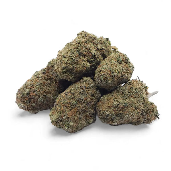 Fleur CBD Gelato Glue Indoor Premium Ma boutique