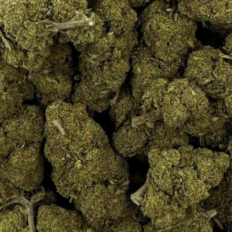 Fleur de CBD - CHARLOTTE'S WEB Ma boutique