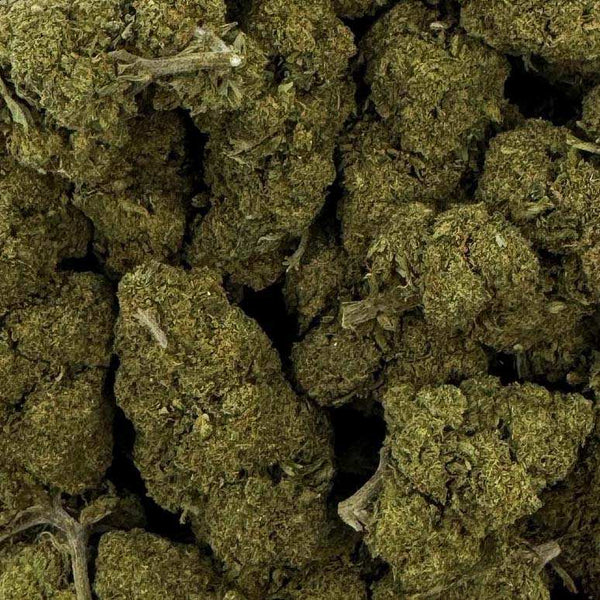Fleur de CBD - CHARLOTTE'S WEB Ma boutique