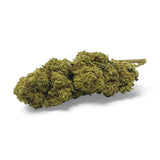 Fleur de CBD Harlequin Indoor Premium Ma boutique