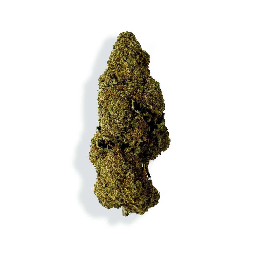 RASPBERRY HAZE.