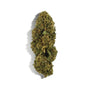 Fleur de CBD - WHITE DAWG Ma boutique